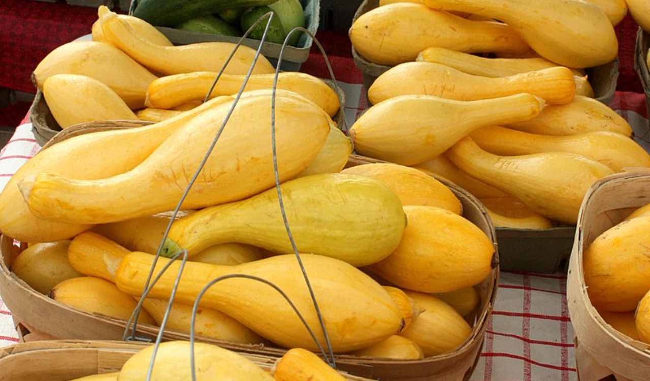 Yellow squash in baskets