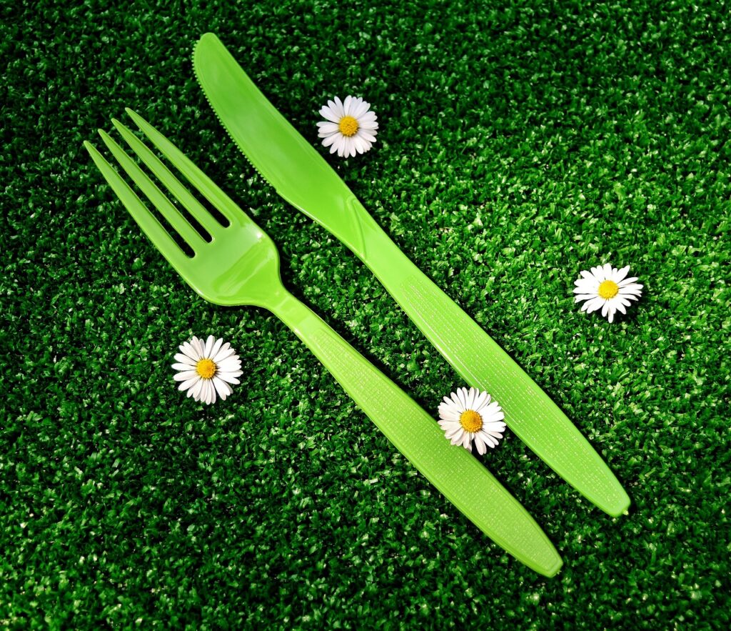 Disposable Cutlery