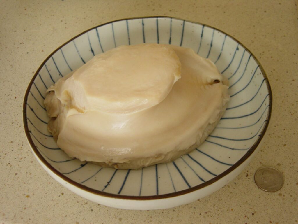 Raw Abalone
