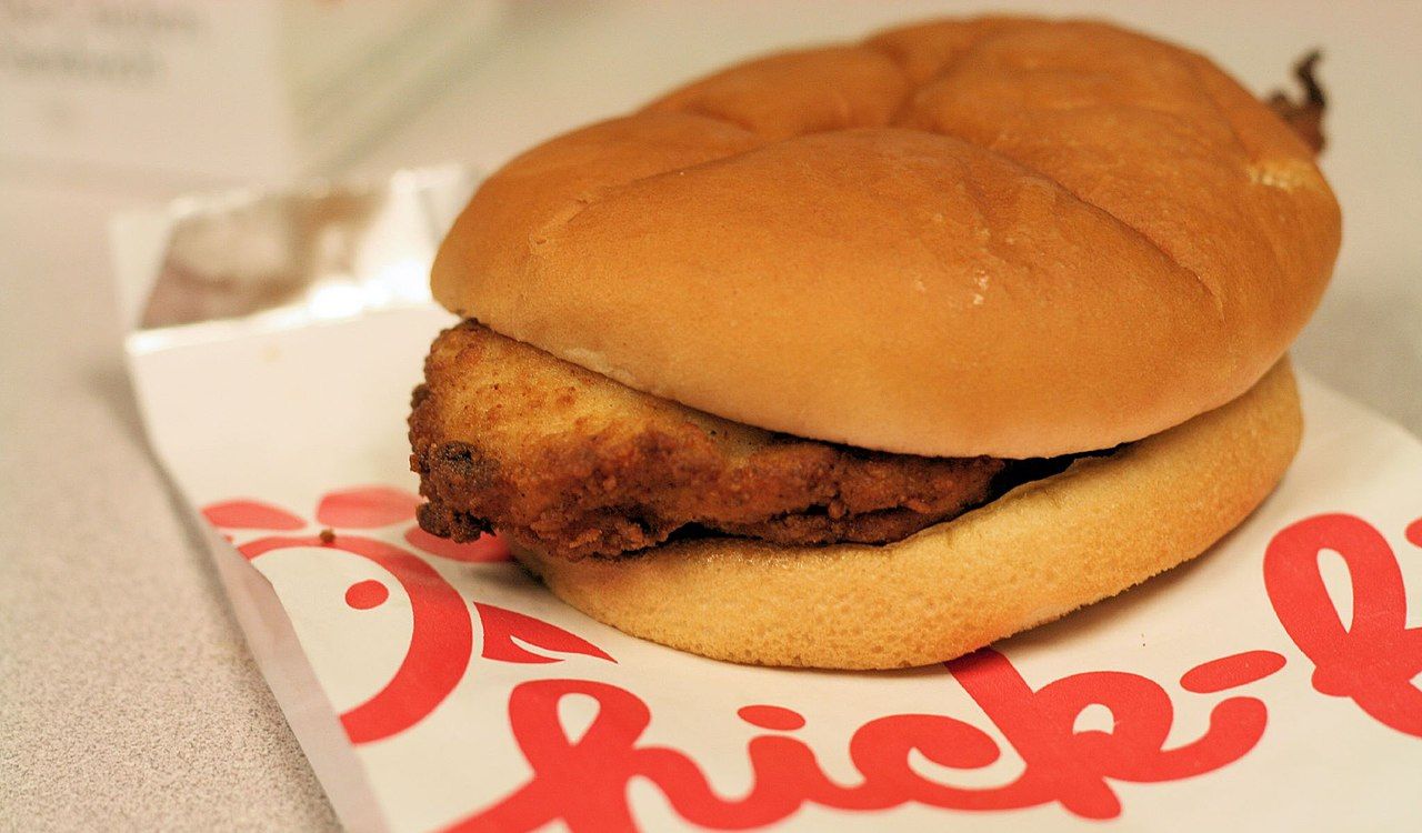 Chick fil A Chicken Sandwich