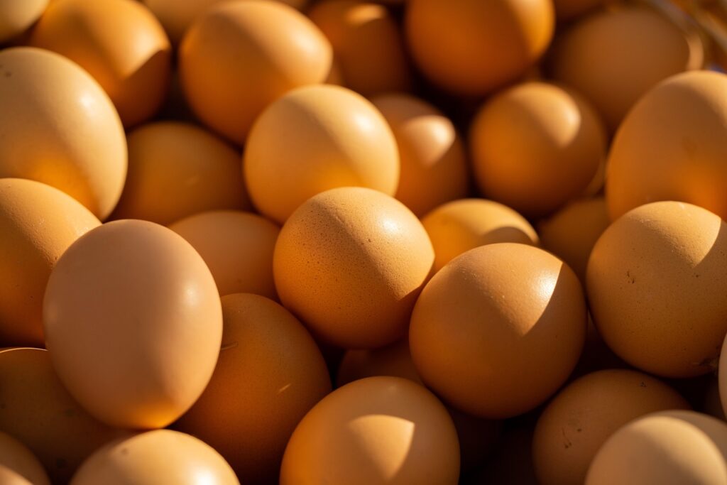Fresh Eggs