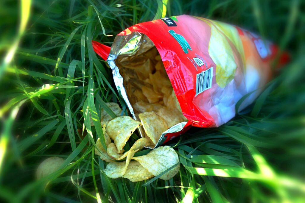 Packaged Chips