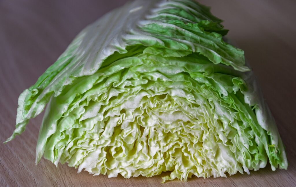 Cabbage Steak