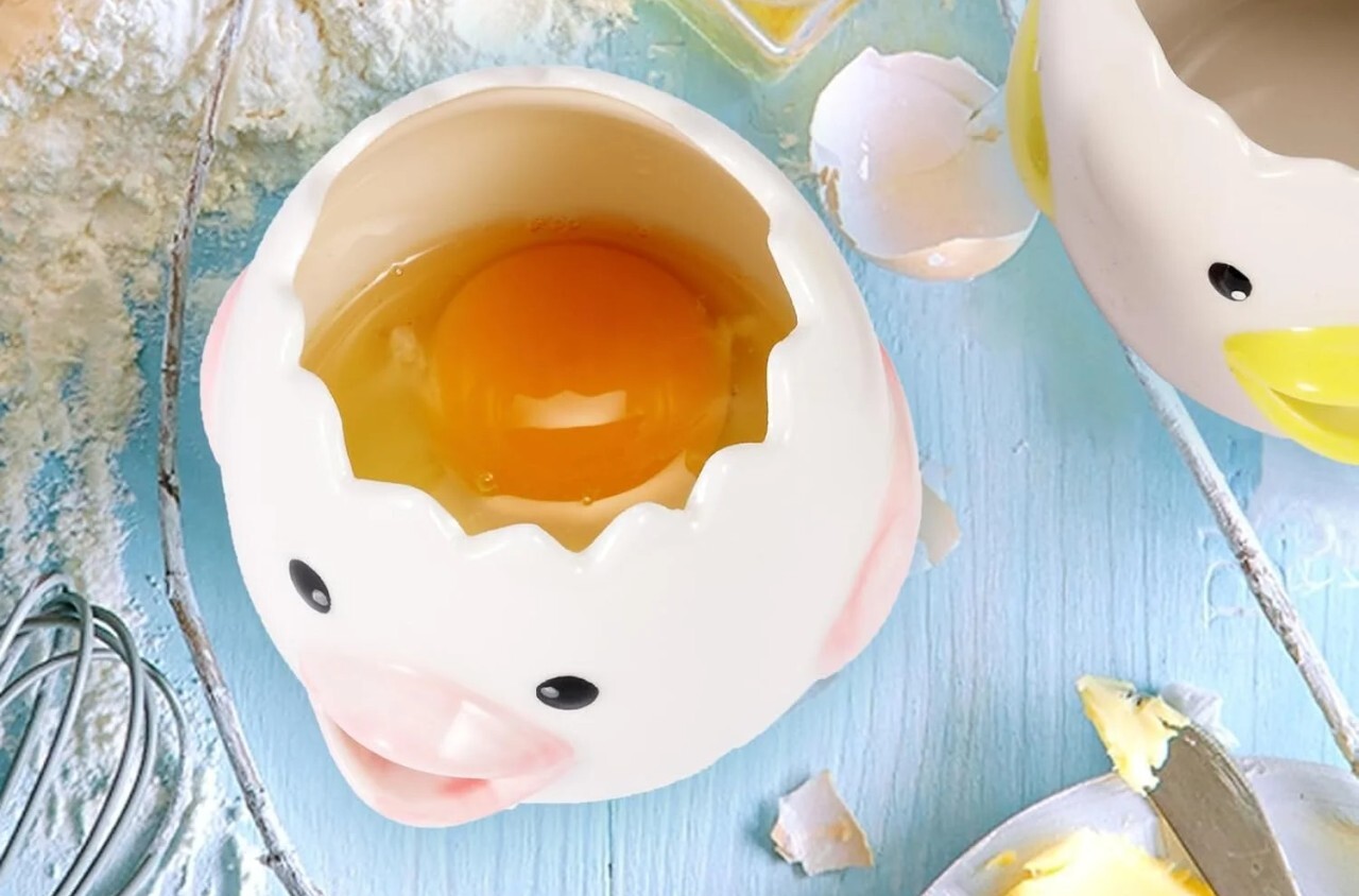 Egg separator
