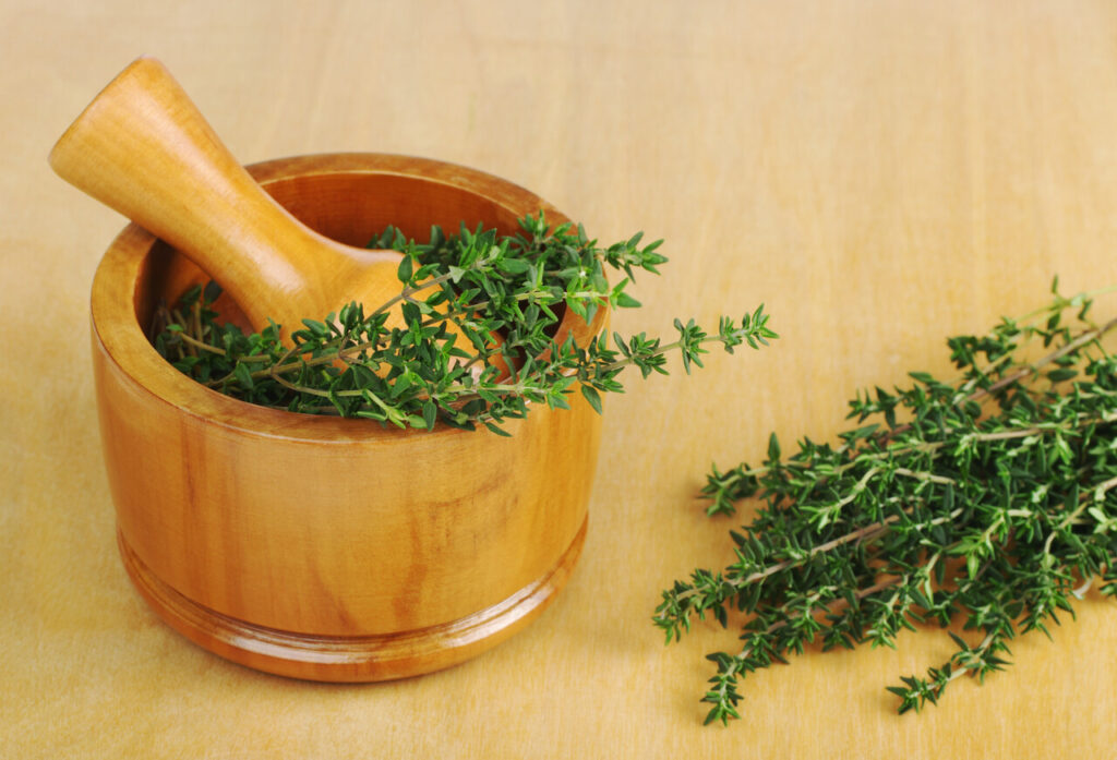 Fresh thyme with wooden mortar and pestle on wooden board