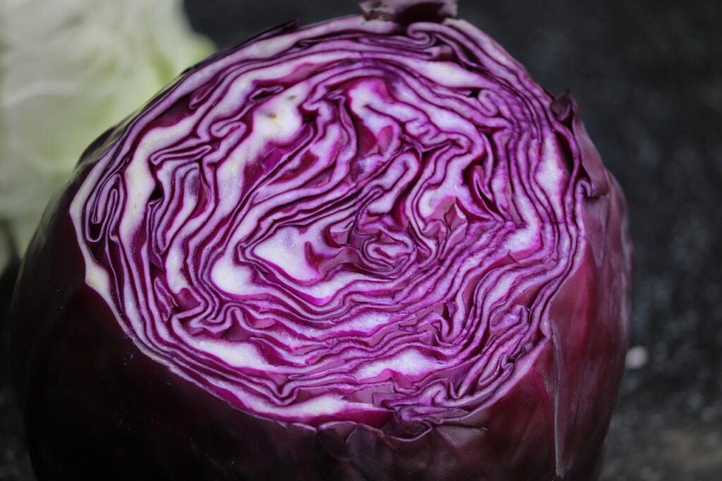Red Cabbage