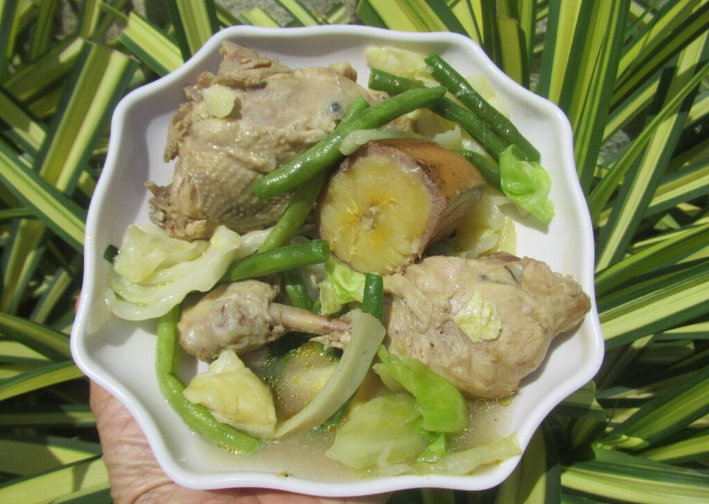 Filipino Nilaga