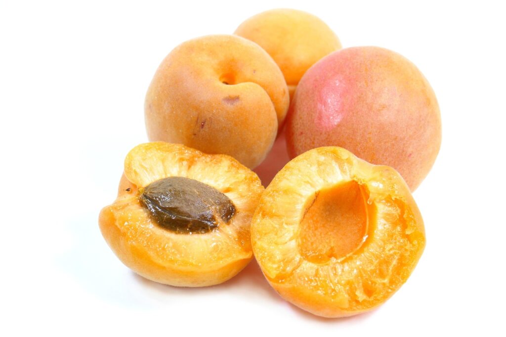 Apricot Kernel