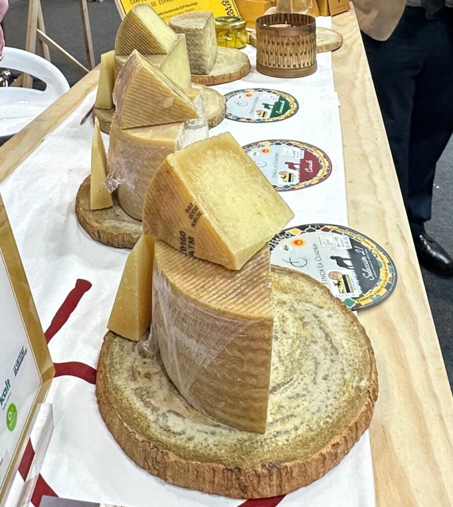 Manchego Curado