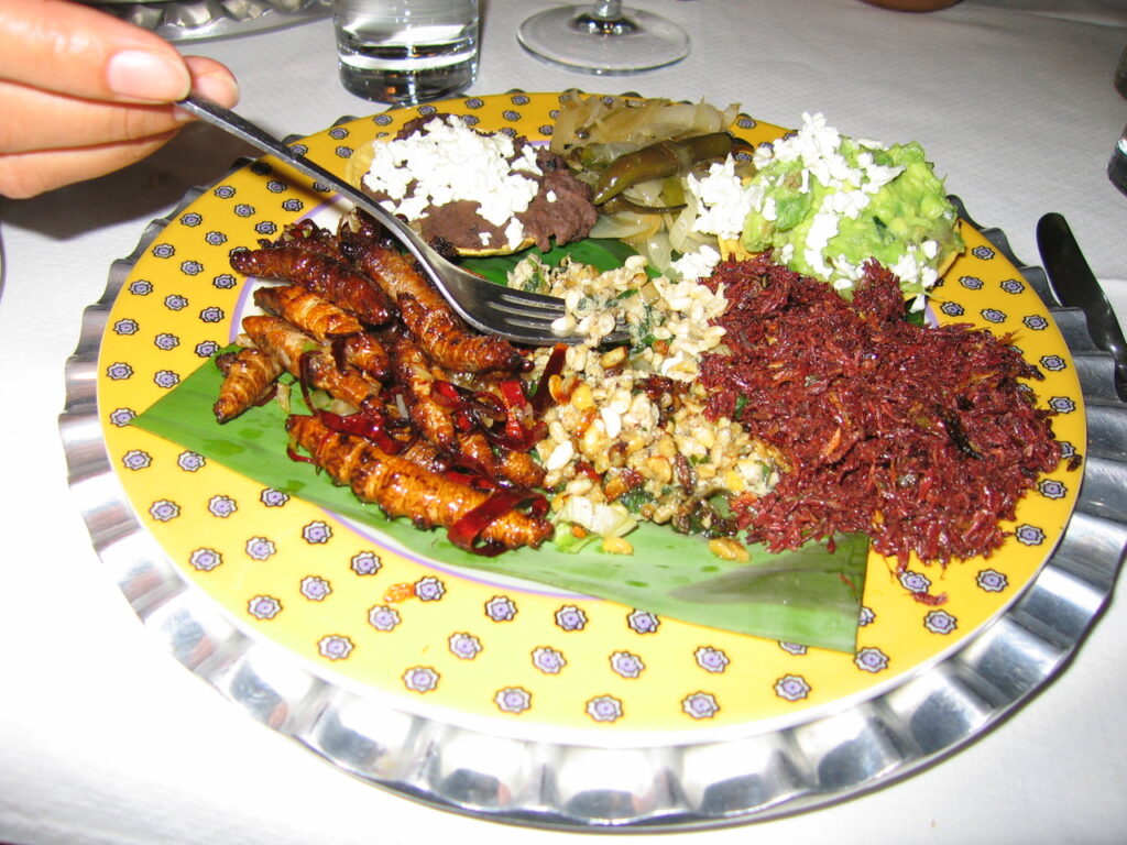 Queen Ant Egg Tostada