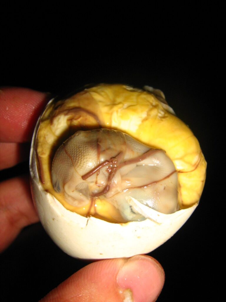 Balut (Philippines)