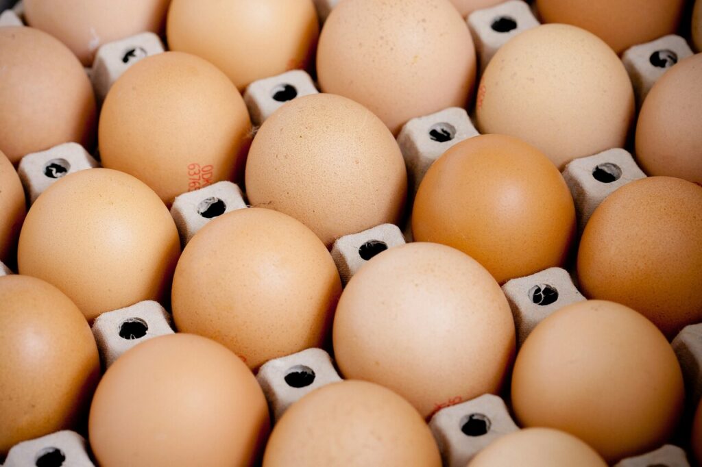 Eggs