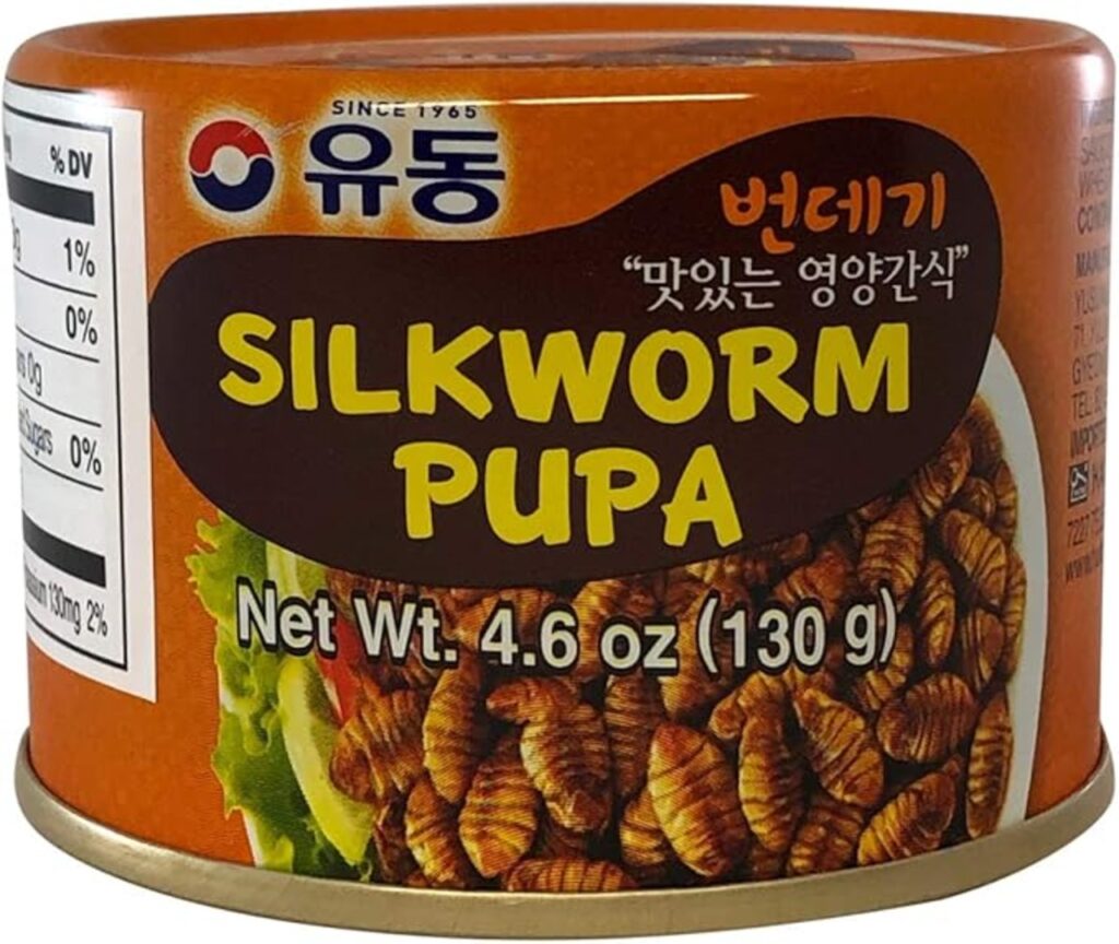 Silkworm Pupae (South Korea)