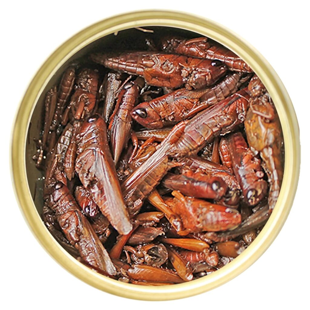 Fried Grasshoppers (Thailand)