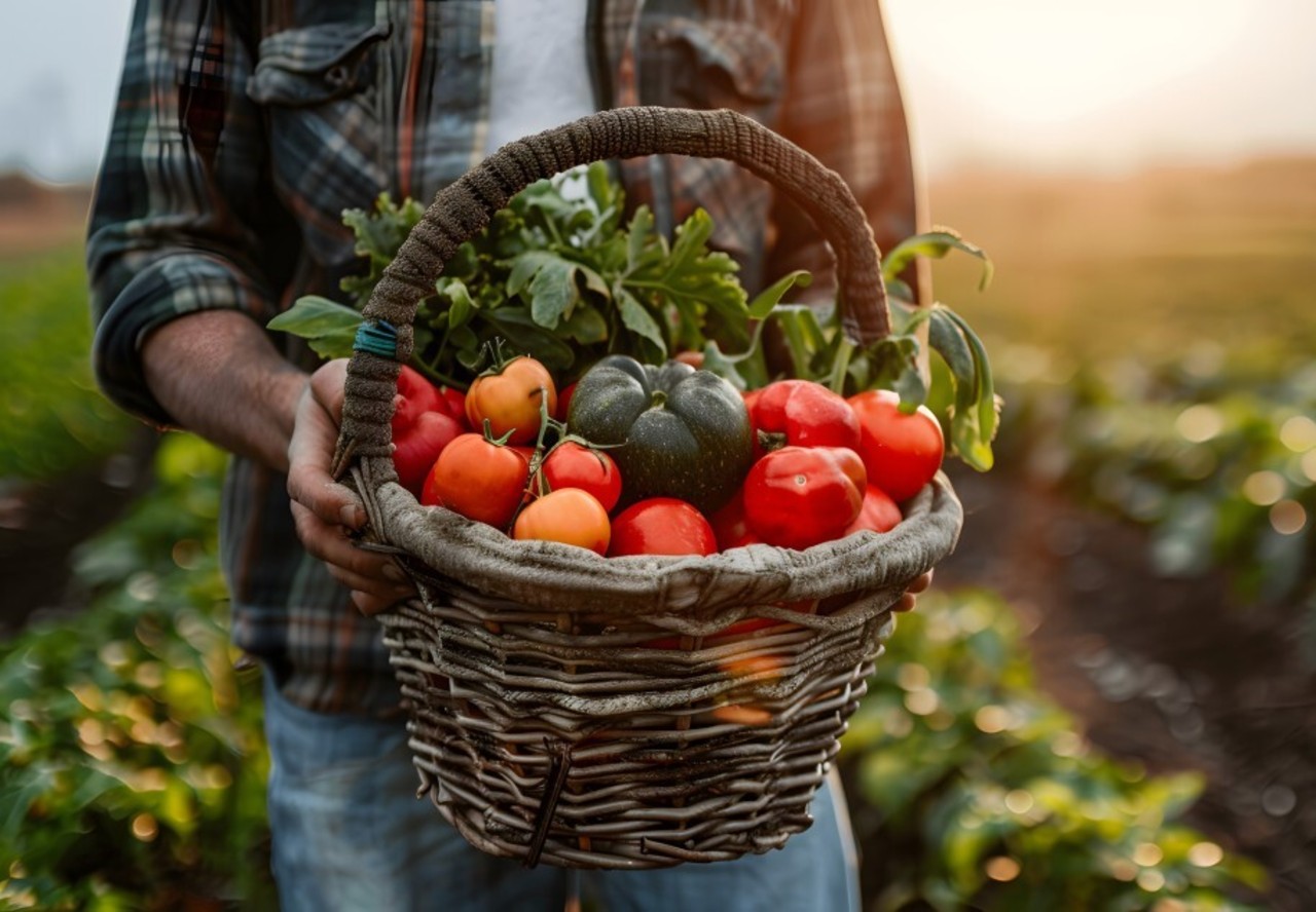 9 Reasons Your Organic Food is Not as Clean as the Label Claims