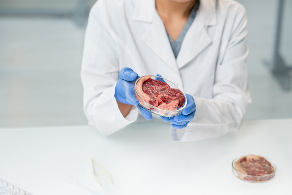 Lab Grown Meat