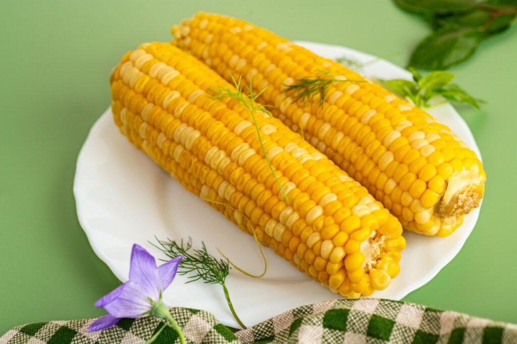 Corn on the Cob Plain