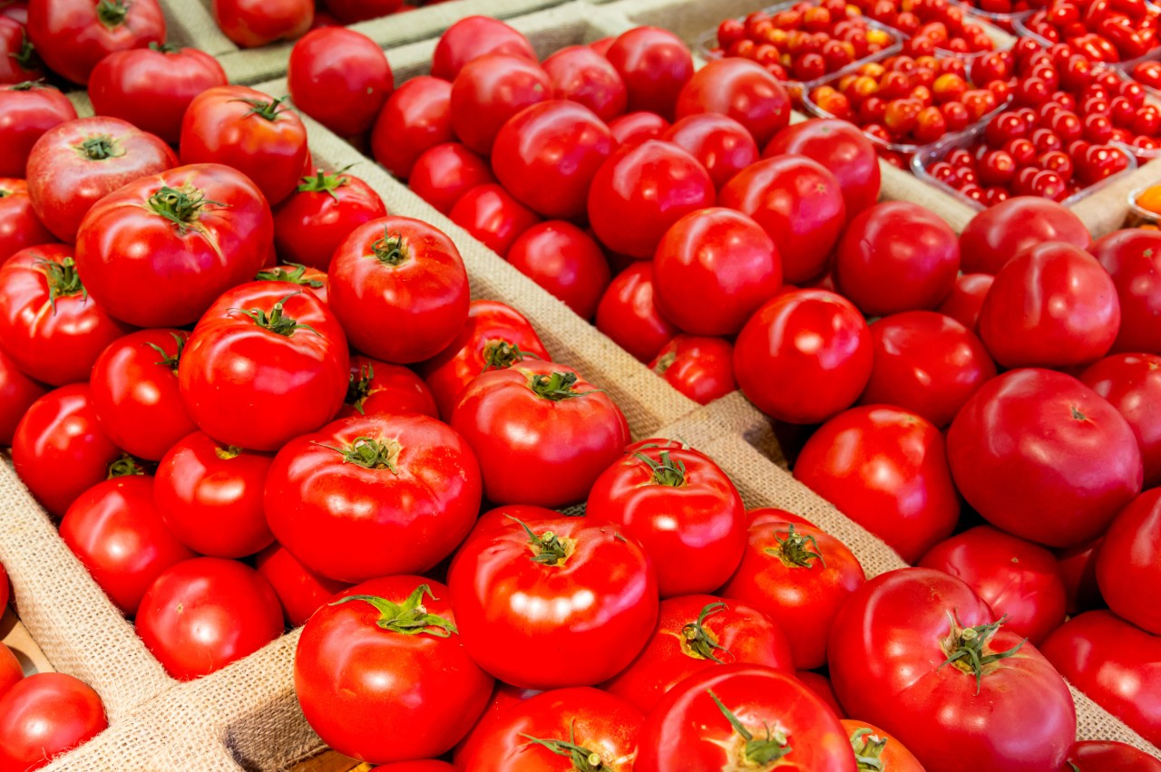 Fresh Tomatoes