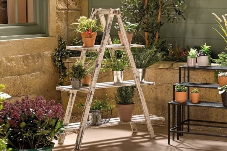 Belavi Wooden Plant Ladder Stand