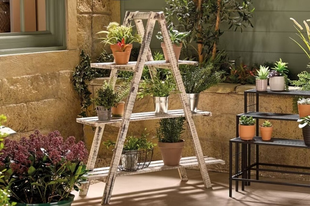 Belavi Wooden Plant Ladder Stand