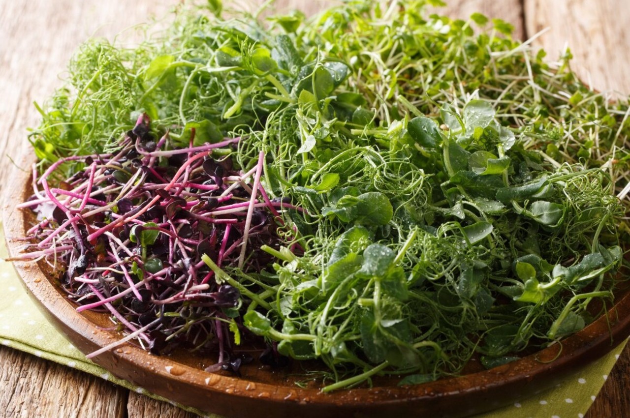 Microgreens