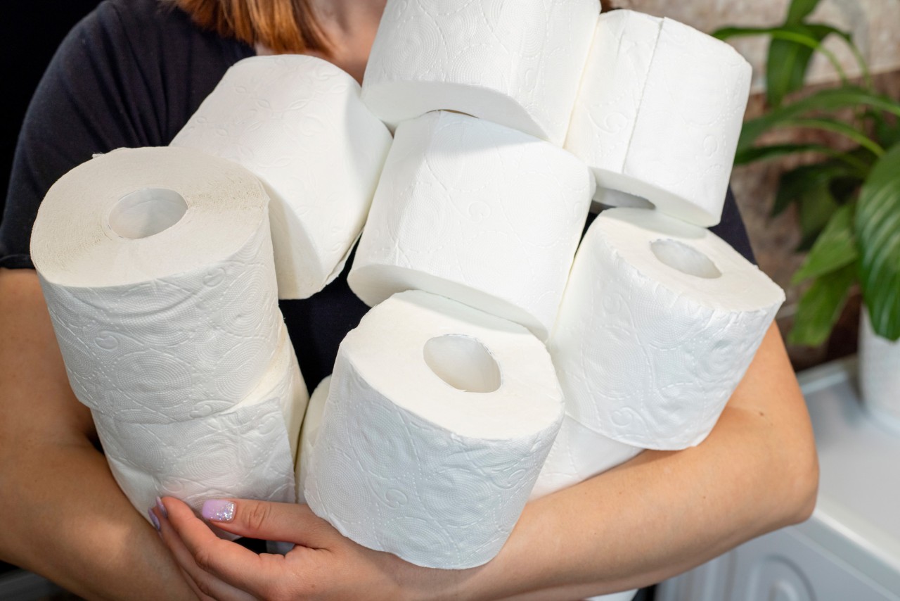 Toilet Paper Rolls